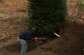 Okrasné dřeviny | WebJET CMS