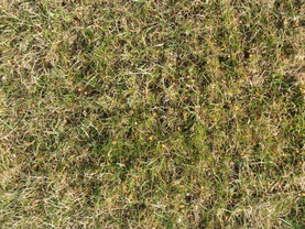 Údržba trávníku | WebJET CMS