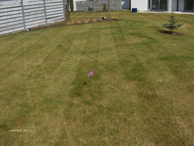 Údržba trávníku | WebJET CMS