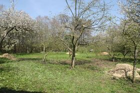 Údržba zeleně | WebJET CMS